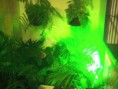 /album/galeria-de-fotos-sobre-nos/foto1035-jpg/